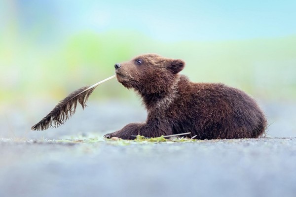 «Минута вдохновения»
А вы как бы назвали это фото? ☺