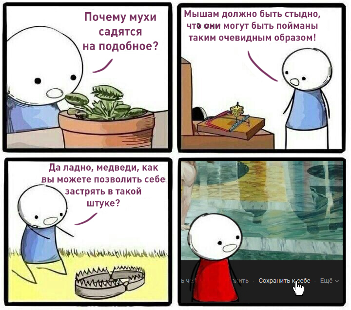 Почему мухи садятся на тело