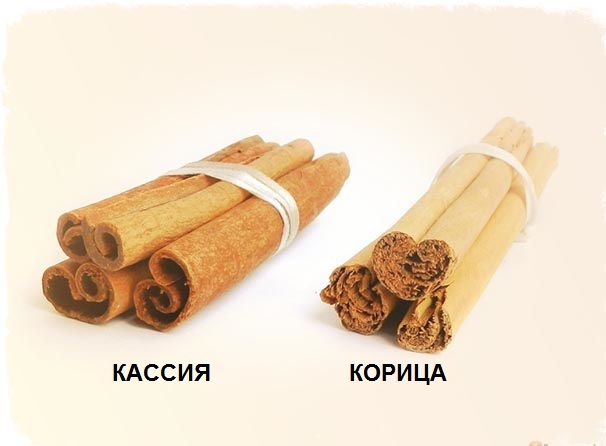 Как выглядит настоящая палочка корицы Чем нас травят явно,полуявно и скрытно - причём уже десятки лет?Последний писк -