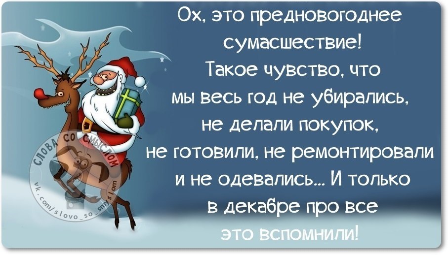 Статус декабря. Предновогодние картинки статусы. Ох уж это предновогоднее сумасшествие. Ох это предновогоднее сумасшествие. Предновогодняя суета цитаты.