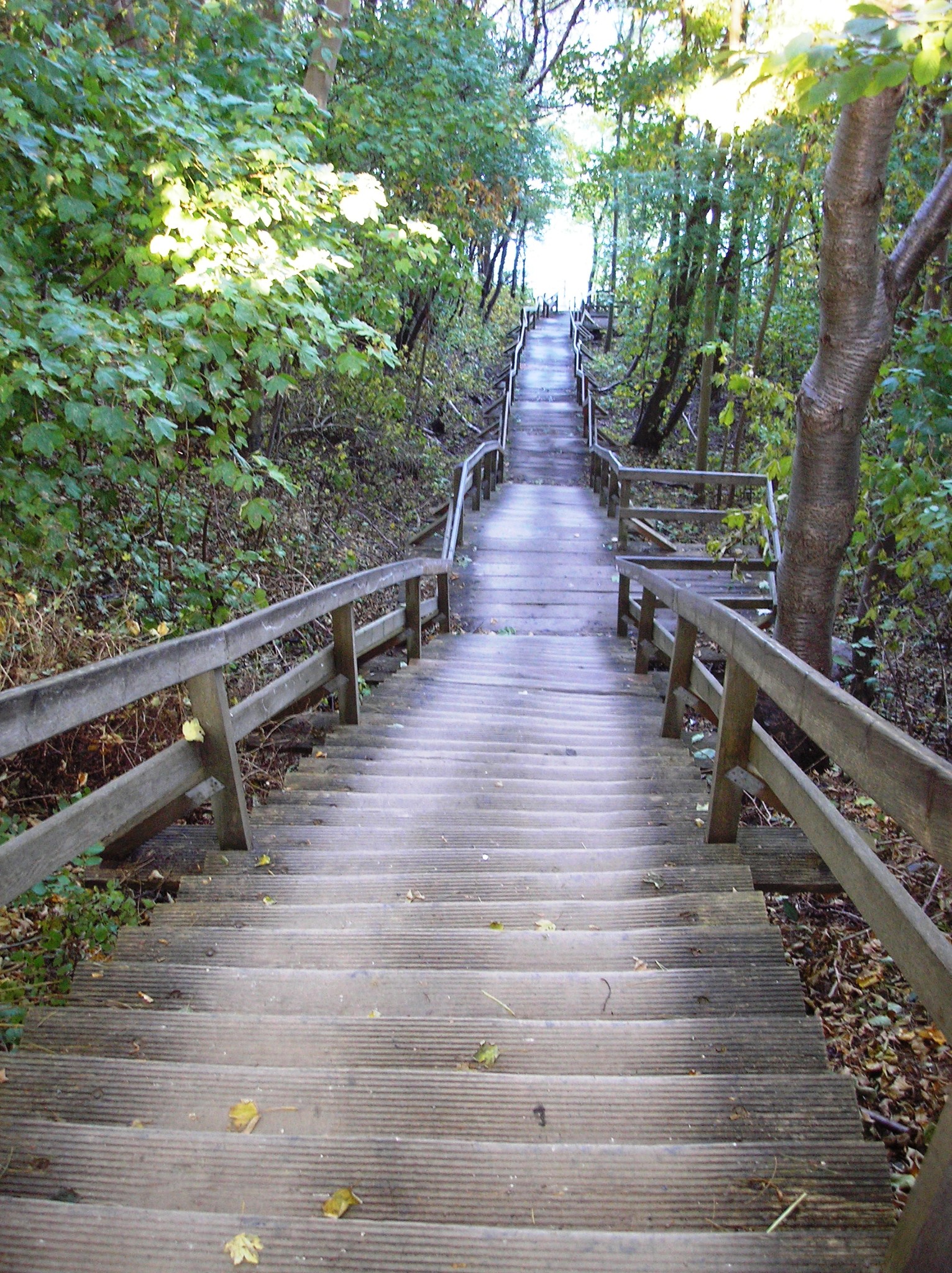 Лестницы на речке. Калининград немецкая лестница к морю. Лестница к реке. Каменная лестница с водой. Лестница к морю.