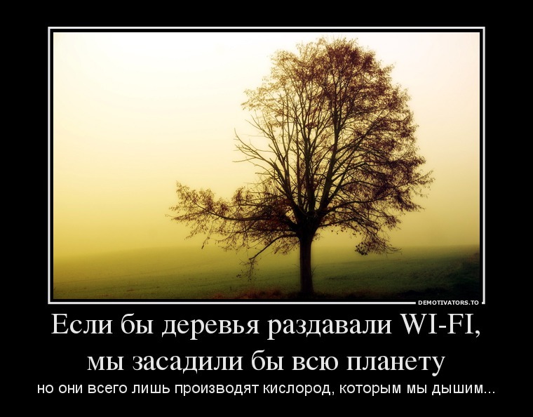 Дерево фраз. Шутки про дерево. Анекдот про дерево. Экология демотиватор. Дерево мотиватор.