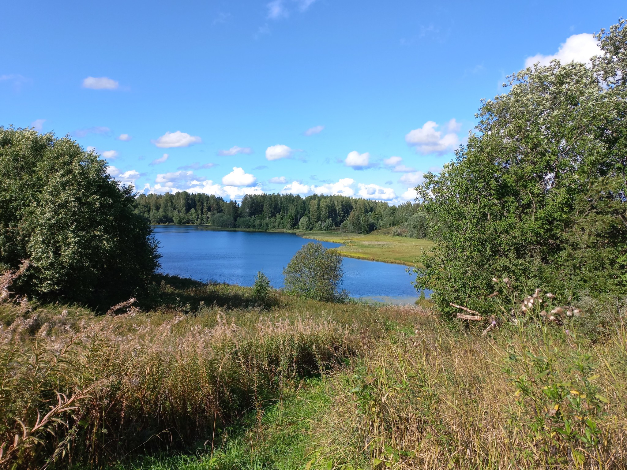 Велико новгородская область