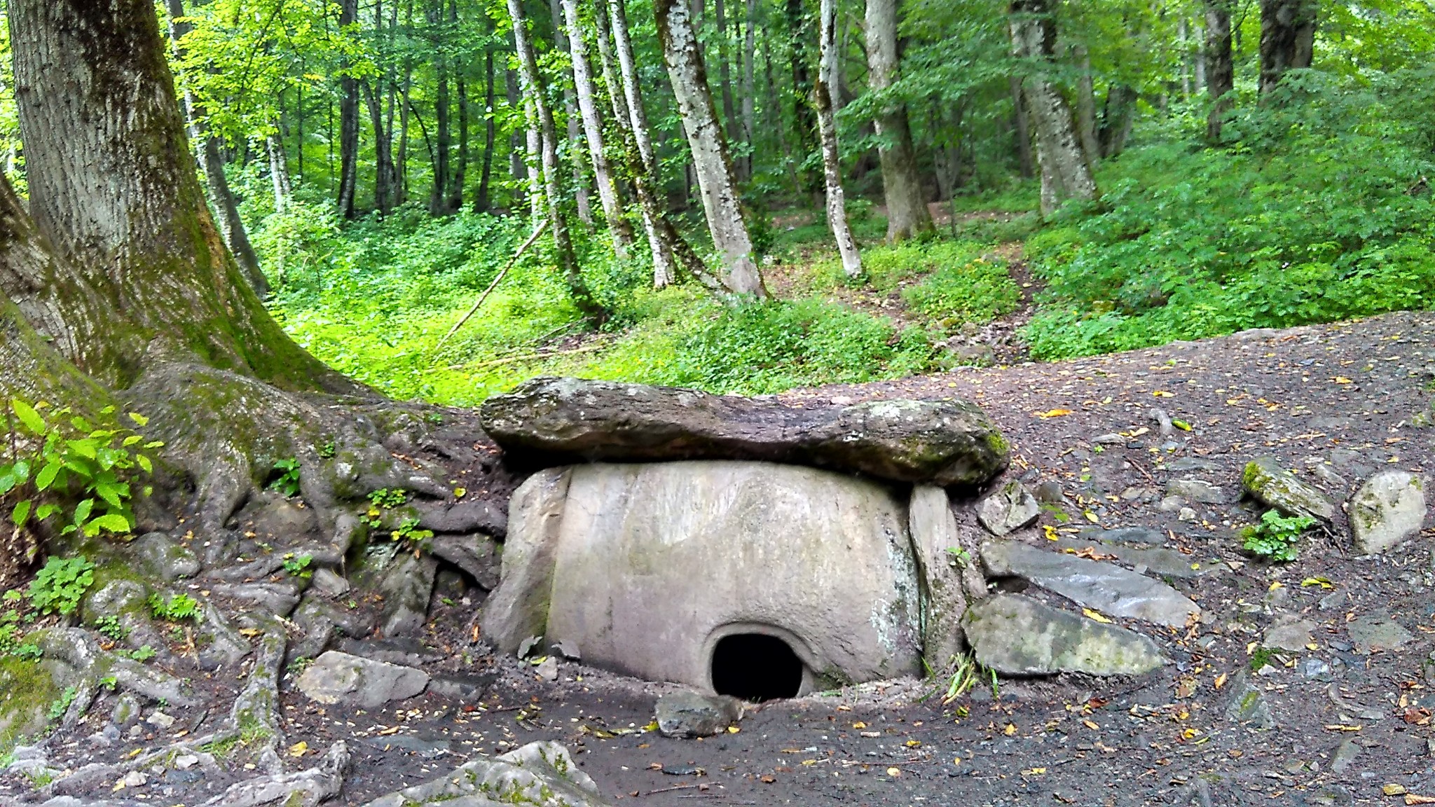 Камеры поляна. Краснополянские дольмены Сочи. Дольмены в красной Поляне. Национальный парк Сочи дольмен. Дольмены на красной Поляне в Сочи.