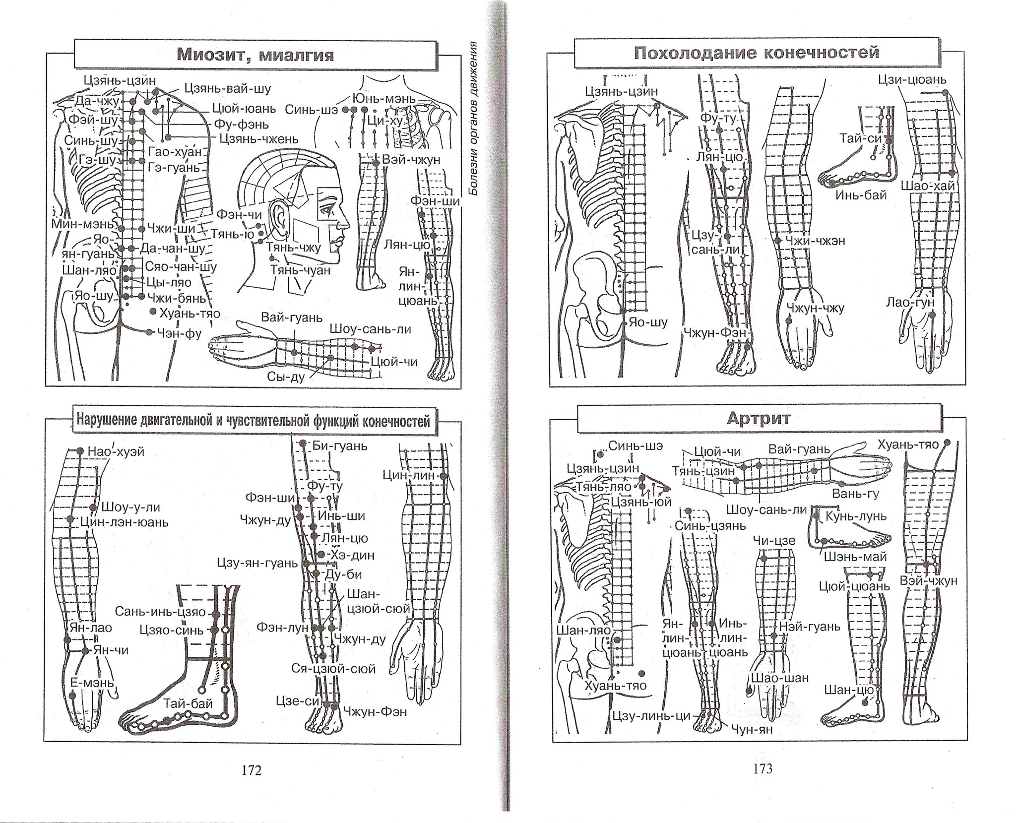 Атлас леднева 176 схем биологически активных точек для лечения 200 болезней